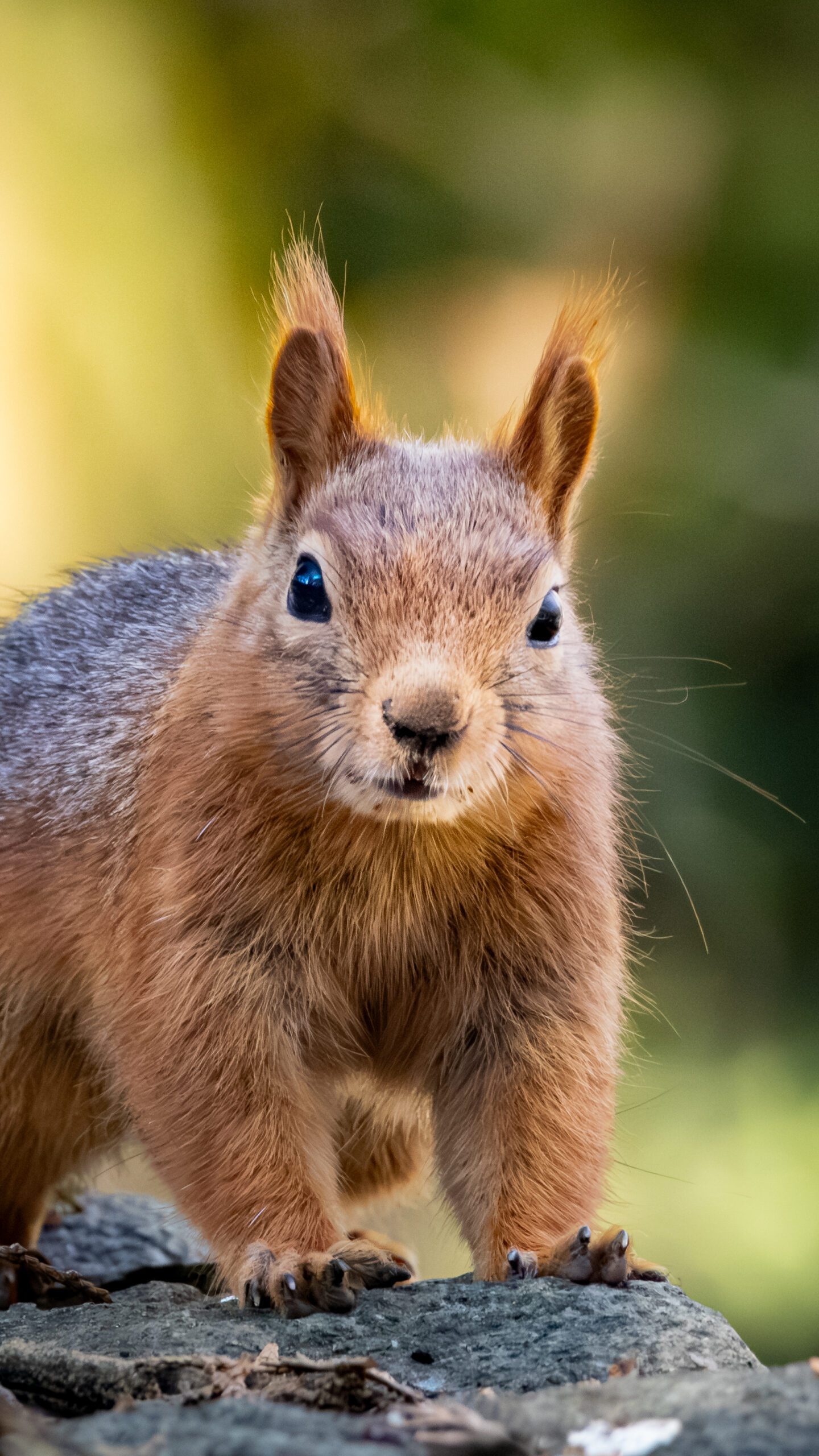 7H9A1865-4 (1)